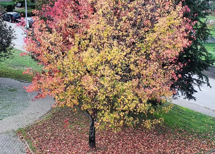 House4u Nova Apartmán *